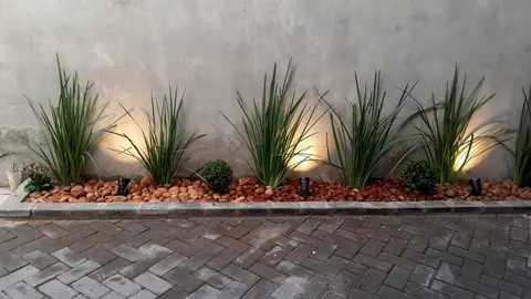 Jardinera con plantas iluminadas desde abajo por focos embutidos al anochecer